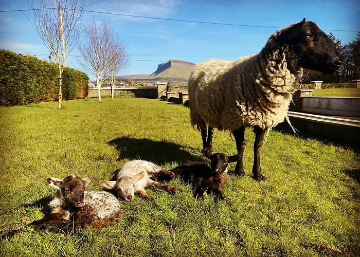 Lissadell Panzió 3*
